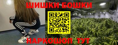 ПСИЛОЦИБИНОВЫЕ ГРИБЫ Кингисепп